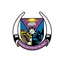 University Partner 1